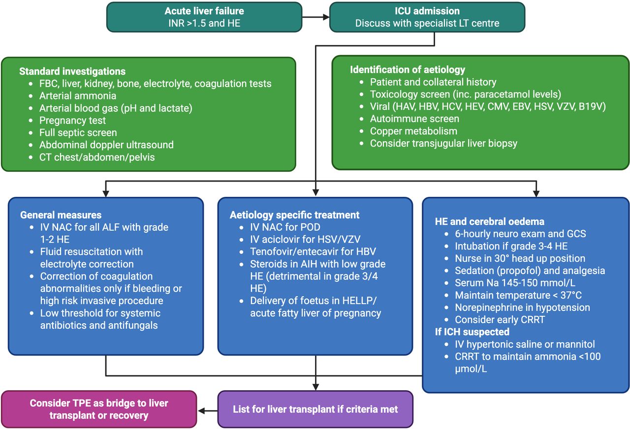 iv glutathione autoimmune dr k Chimeric antigen receptor T cell therapy for disease Glutathione IV - Oasis Health